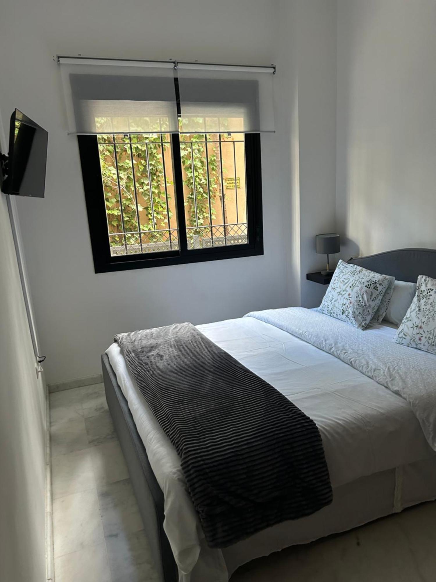 Apartamento Proximo Al Centro De 2 Dormitorios Con Piscina. Sevilla Eksteriør billede