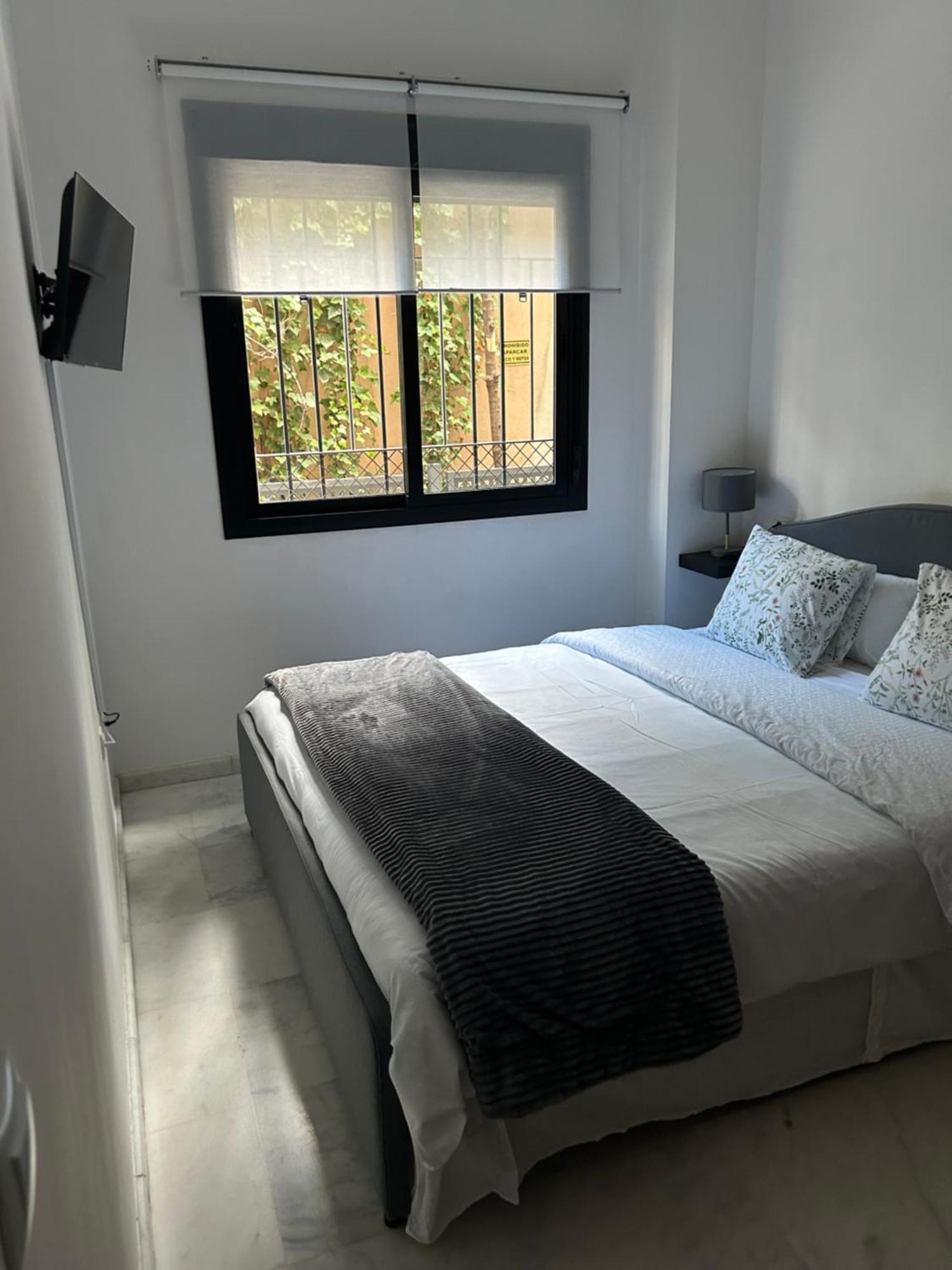 Apartamento Proximo Al Centro De 2 Dormitorios Con Piscina. Sevilla Eksteriør billede